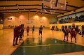 sapela_morieres (20)